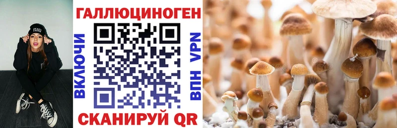 гидра как зайти  Махачкала  Галлюциногенные грибы Psilocybine cubensis  где можно купить наркотик 