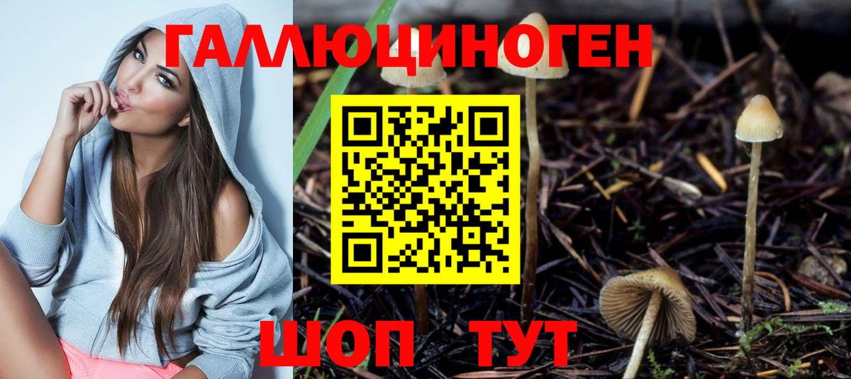 Галлюциногенные грибы мухоморы  Вход с VPN  Псилоцибиновые грибы мухоморы  Махачкала 