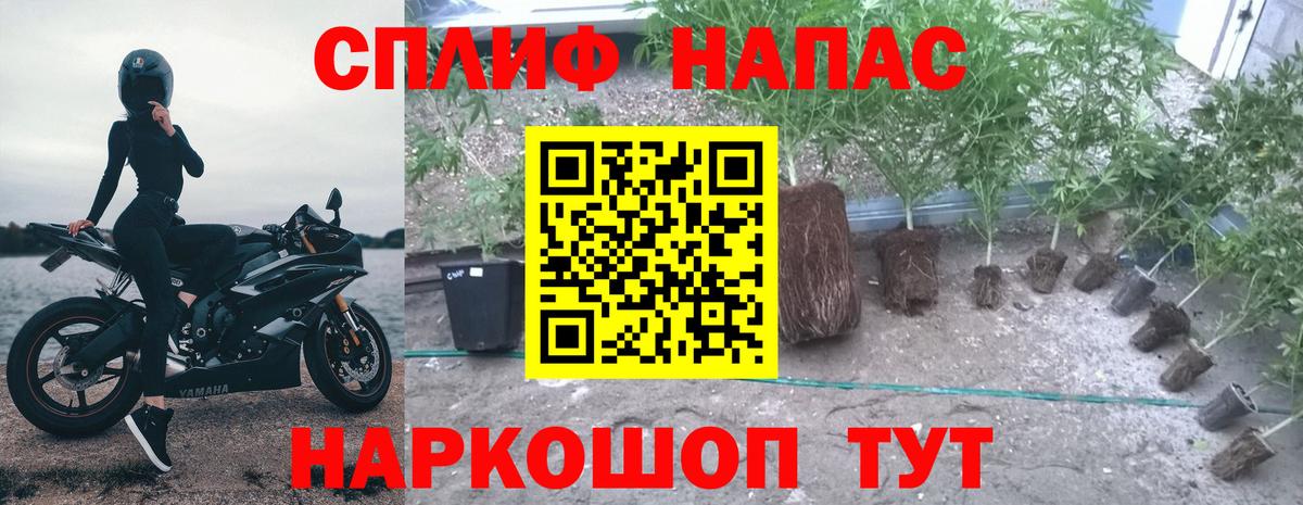 Бошки Шишки Ganja  Шишки марихуана AK-47  Вход с VPN  Махачкала  Шишки марихуана план 